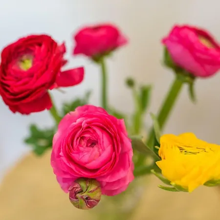 شقة Deluxe Renata سبليت